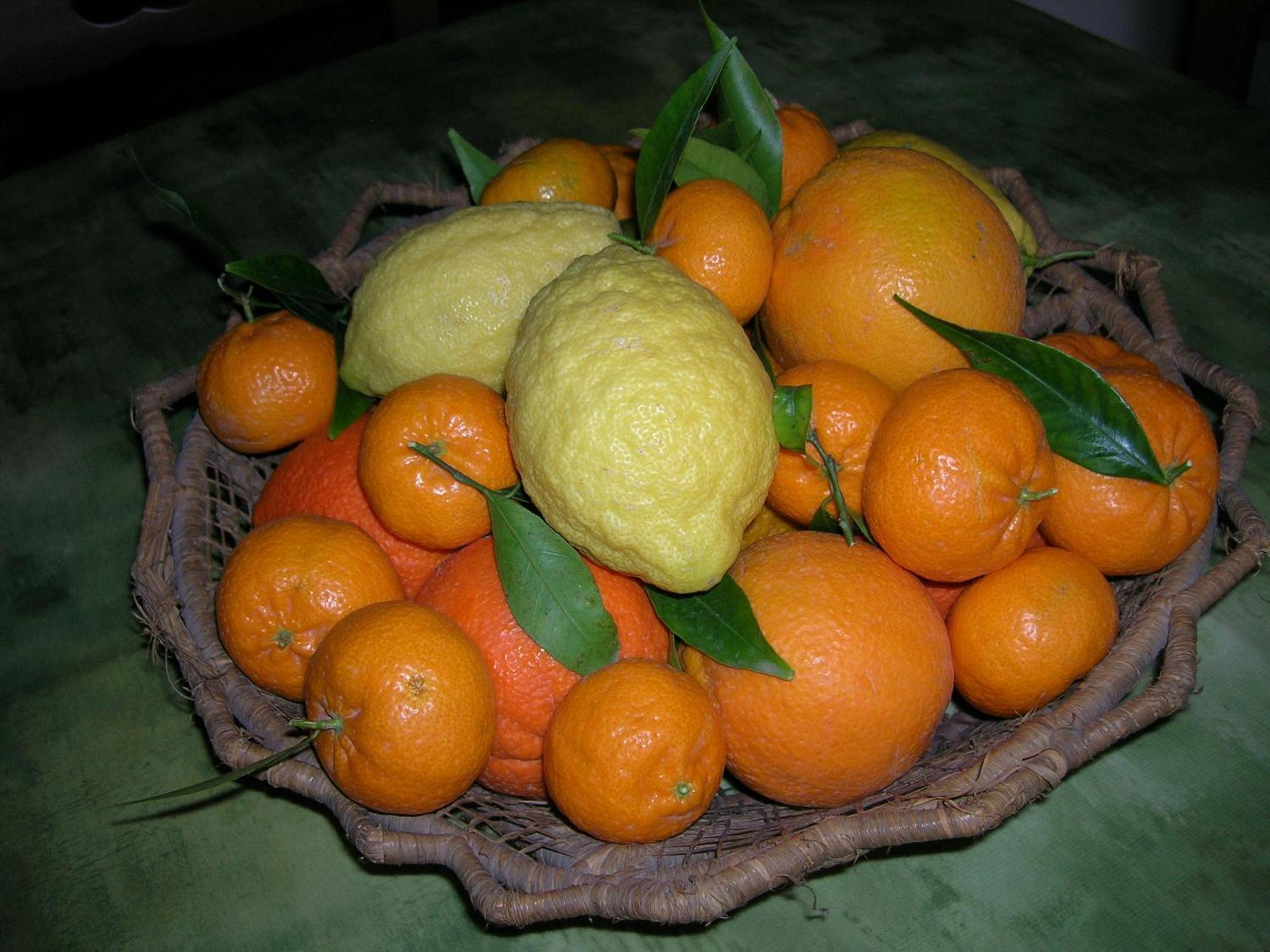 Agriturismo Baglio Donna Santa Dattilo ภายนอก รูปภาพ