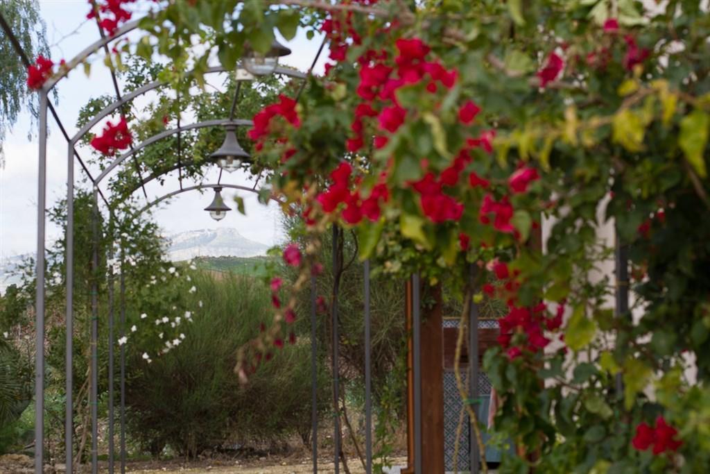 Agriturismo Baglio Donna Santa Dattilo ภายนอก รูปภาพ